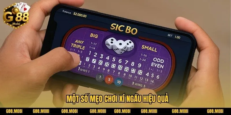 Game bài Xí Ngầu – Sát Phạt Đỉnh Cao Cùng Xúc Xắc 3 Viên 4 Những Loại Hình Phổ Biến Trong Game Bài Xí Ngầu