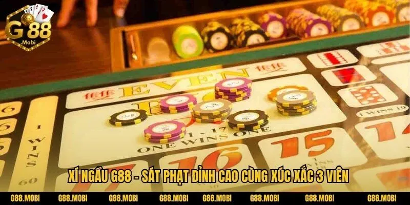 Game bài Xí Ngầu – Sát Phạt Đỉnh Cao Cùng Xúc Xắc 3 Viên 3 Game bài Xí ngầu là gì? Phân biệt với Sicbo